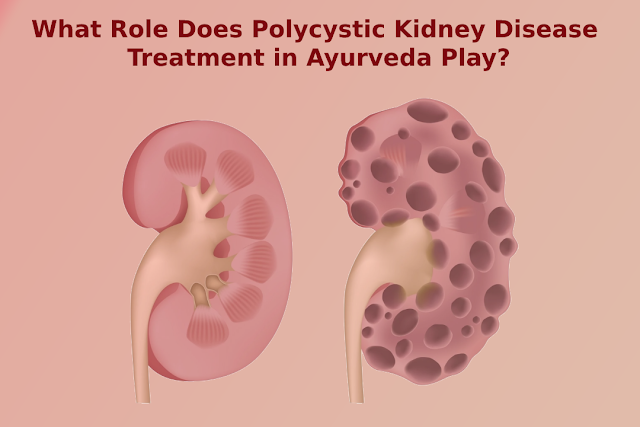 What Role Does Polycystic Kidney Disease Treatment in Ayurveda Play?