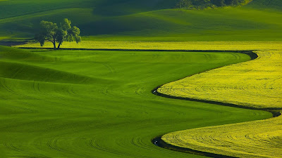 Green fields nature landscape hd wallpaper