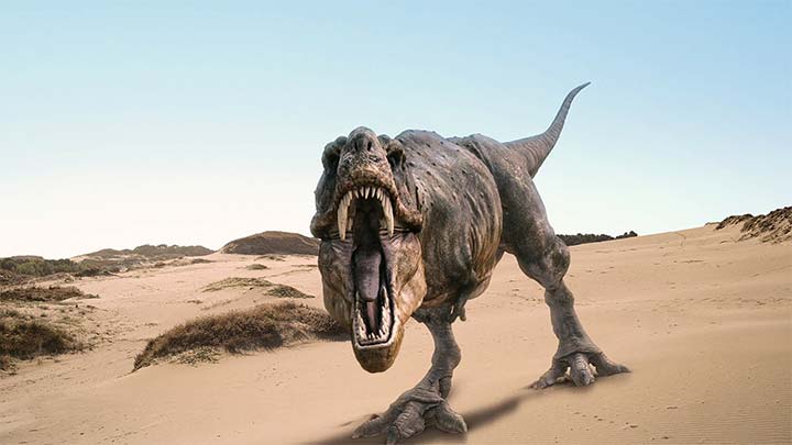 Tyrannosaurus rex  Raja Kadal Purba  yang Mengerikan 