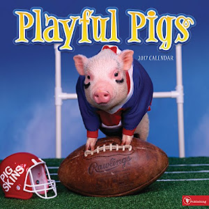 2017 Playful Pigs Wall Calendar