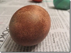 egg day 05