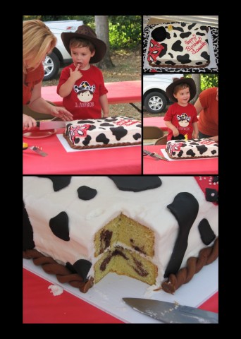 Cowgirl Birthday Cakes on Cowboy Birthday Cake Fondant Cow Print Bandanna And Rope Border