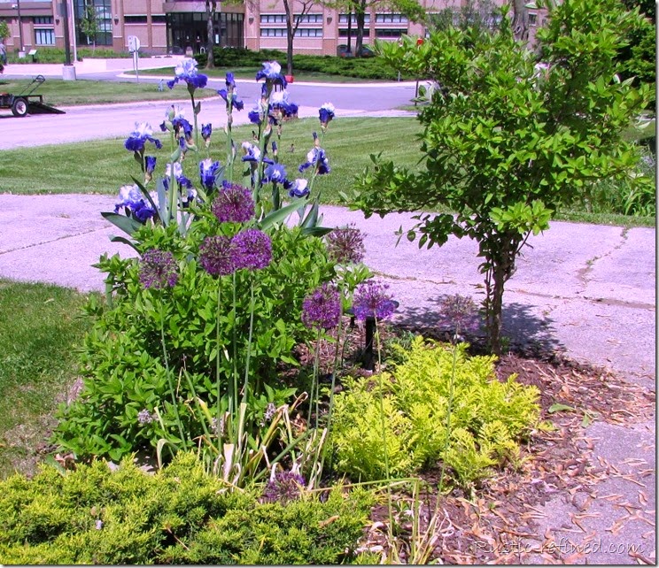 Spring Garden Photos 2015 @ Rustic-refined.com