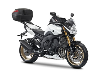 2011 Yamaha FZ8 motorcycle picture