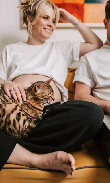 Hamilelik sırasında kedi beslemek tehlikeli midir?