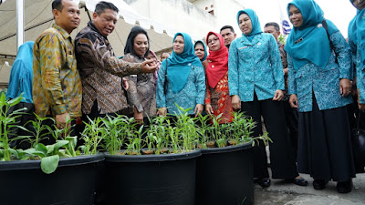 Pj. Walikota Tebing Tinggi dan Pj. Ketua TP PKK Prov. Sumut Kunjungi Posyandu dan Gerakan Tanam Cabai