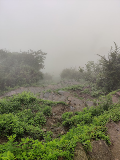 Solo Backpacker Guide To Annapurna Base Camp Trek Jhinu 