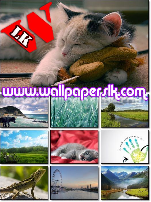 wallpaper hd widescreen free. HD Widescreen Wallpapers