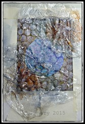 P1070868