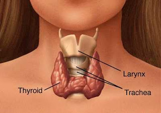Diagnosis and Care Plan for Hyperthyroidism