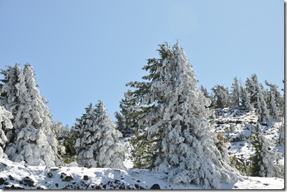 Crater Lake, OR 155