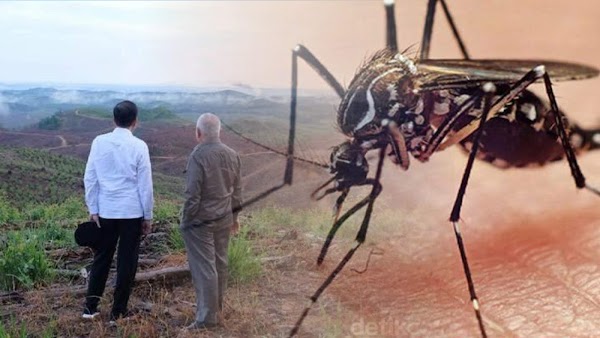 Ibu Kota Negara Baru Diserang Malaria, Ratusan Warga Penajam Terinfeksi
