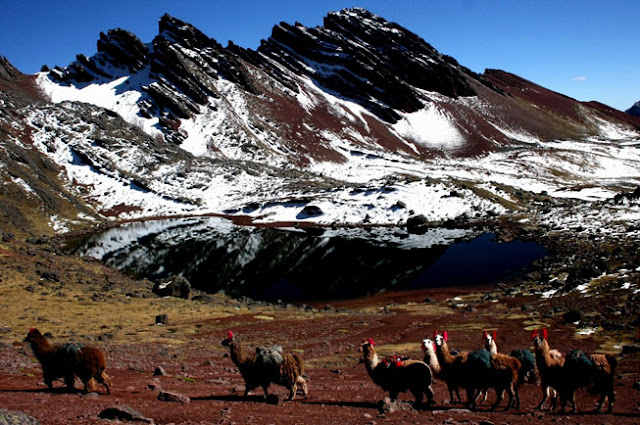 Ausangate mountain, Andes, Peru. 