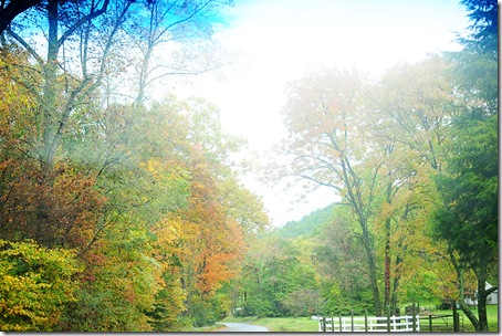 Camping 2011! 017