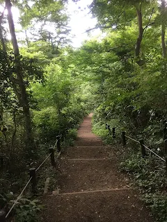 国立科学博物館附属自然教育園園内