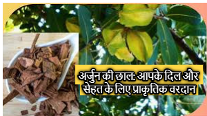 चित्र