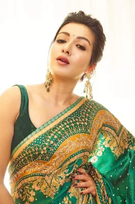 Actress Catherine Tresa Alexander in green saree Photoshoot