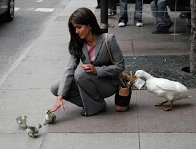 J'aime toujours autant cette image que la première fois et je continuerai à l'utiliser jusqu'à ce que quelqu'un m'envoie un million de dollars, un hélicoptère en petite coupures et un groupe d'otages, pour que je puisse passer aux choses sérieuses