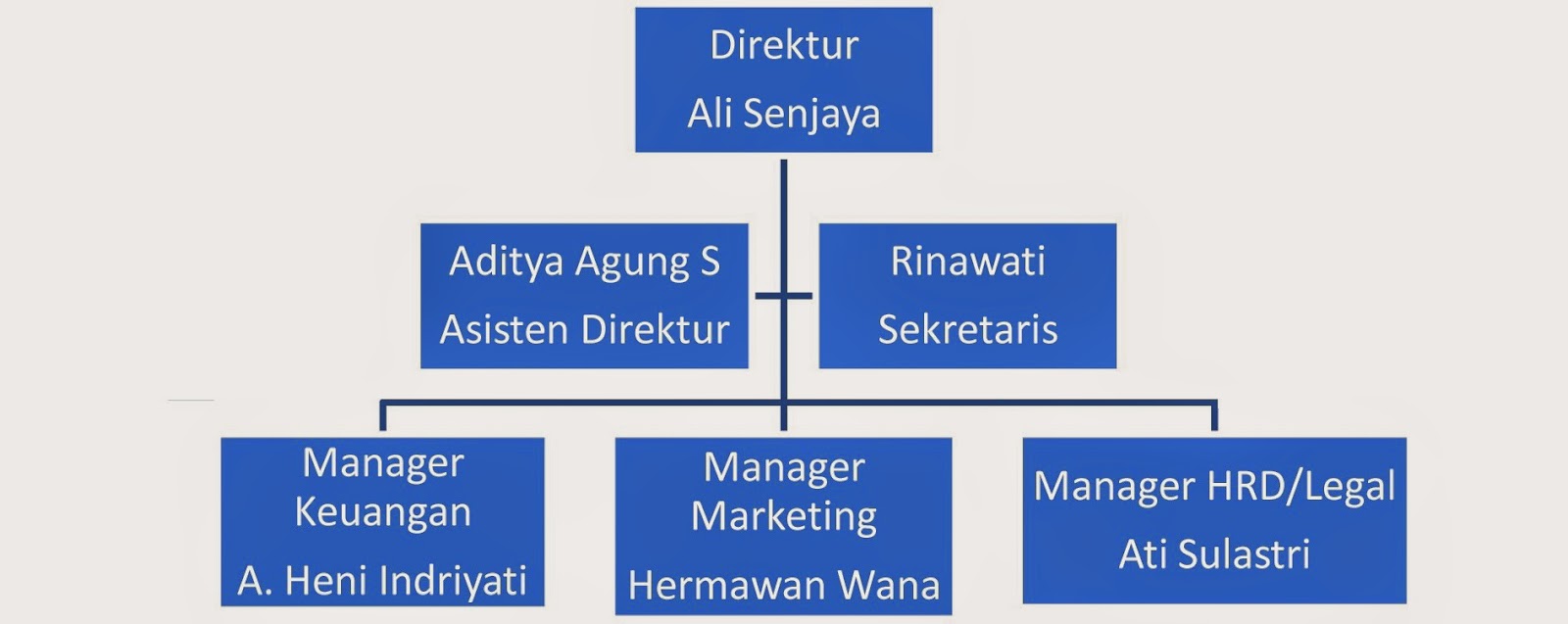 Struktur Organisasi Perusahaan Developer Perumahan - Berbagi Struktur