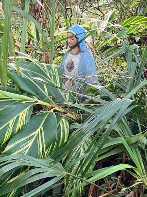 A vegetação foi jogada com fúria, mas a imagem do Coração de Maria ficou intacta