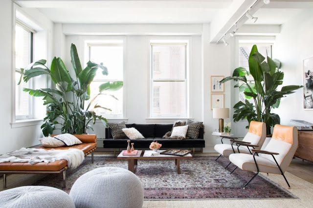 living room decor ideas with plants