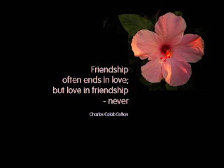 friendship ofter ends in Love Quote and Saying