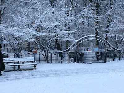 Brooklyn writer in Prospect Park