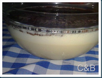 Mousse de caf com ganache de chocolate (1)
