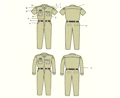 instruksi-mendagri-tentang-pdh-asn