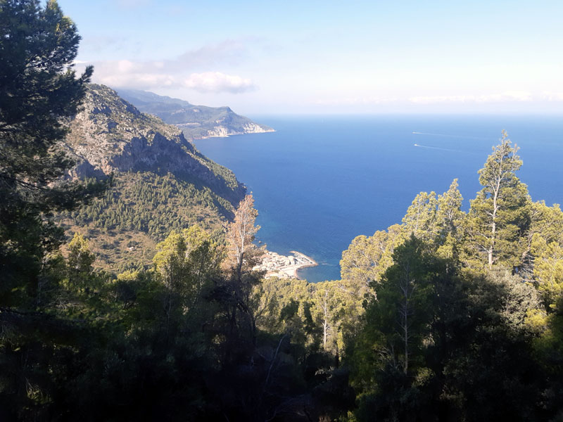 Port de Valldemossa - Mallorca