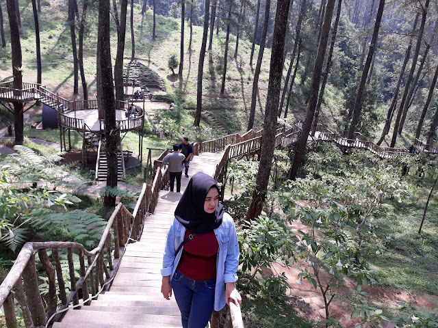 Wisata Orchid Forest Lembang - Info Harga Tiket Masuk, Lokasi dan Fasilitas 