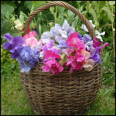 basket