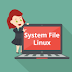 Mengenal Sistem File (File System) Pada Sistem Operasi Linux