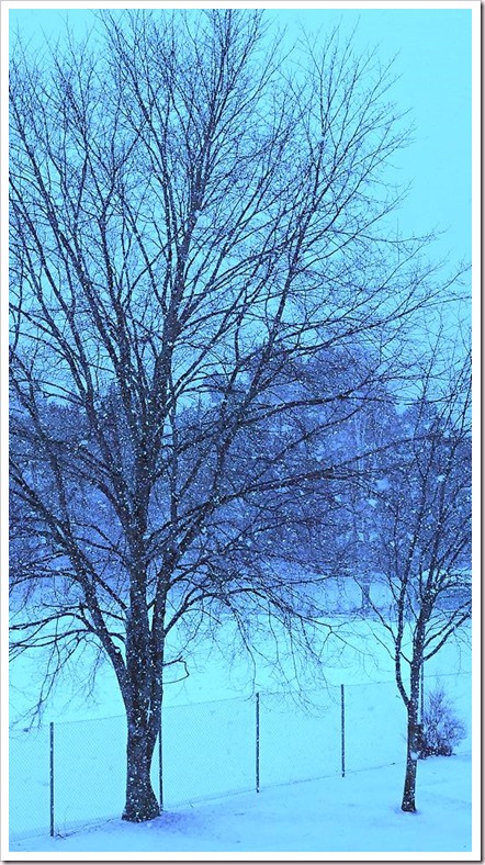 snowing-001