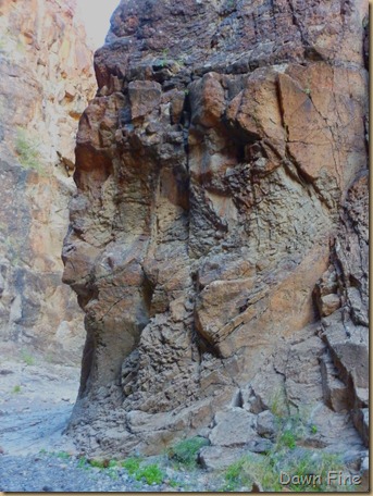 Big Bend Ranch State park_139