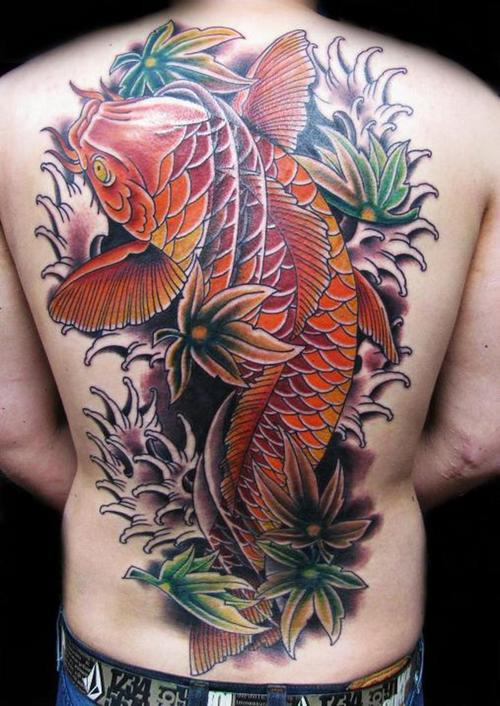 Koi fish are specially bred in Japan for their color