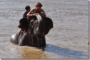 Laos Luang Prabang Elephant camp 140201_0149