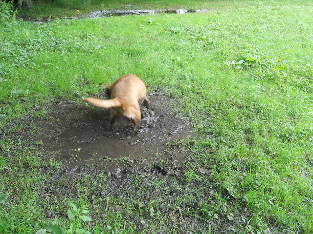 Playing in the mud