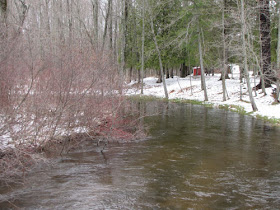 Little Manistee River at Old M63