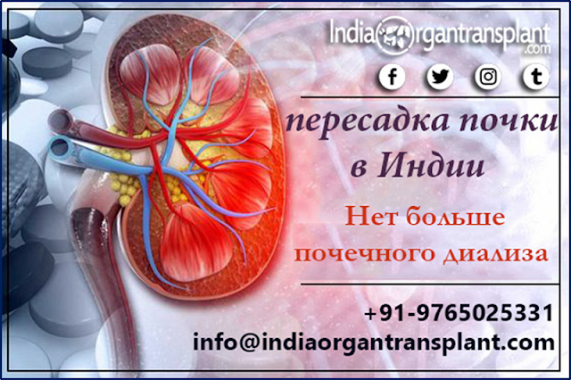 https://www.indiaorgantransplant.com/kidney-transplant-cost-top-hospitals-best-surgeons-india-russian.php