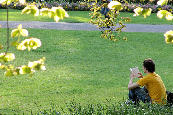 Un joven leyendo un libro en un parque.