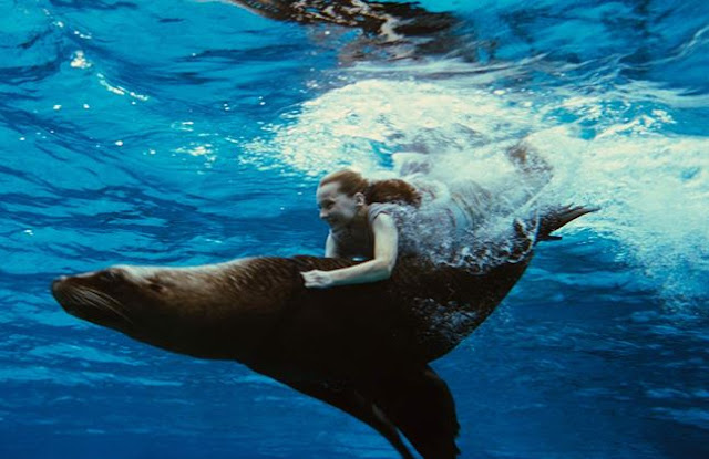 Sinopsis Lengkap Film Nim’s Island (2008)
