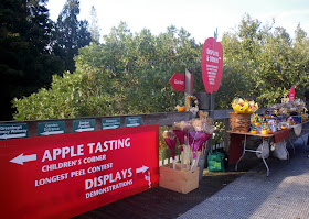 2011 UBC Apple Festival, autumn display with dried flowers arrangements