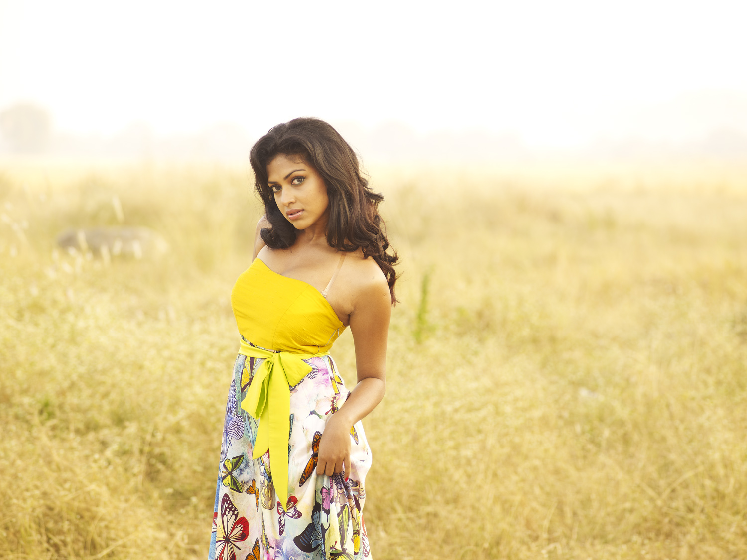 South Indian Actress ‘CCL’ Hot Calendar Wallpapersspecial media