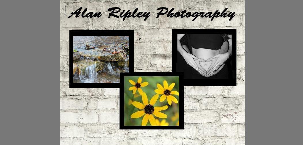 Alan Ripley Photography