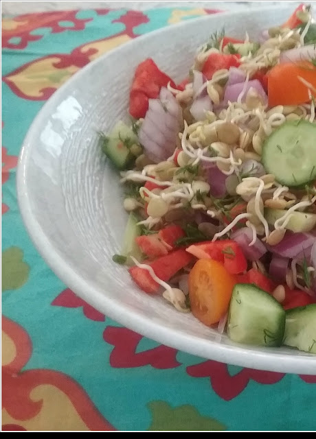 summer sprouted lentil salad