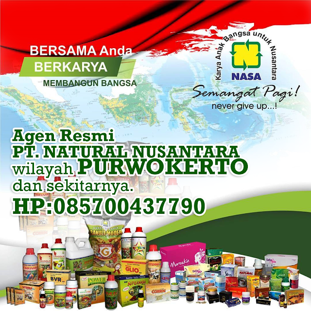 Alamat Agen/Distributor Resmi NASA Purwokerto dan Sekitarnya