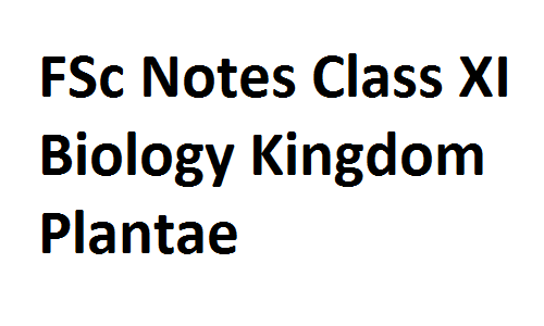 FSc Notes Class XI Biology Kingdom Plantae fscnotes0