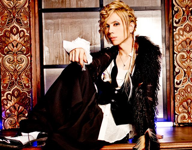 J Rock 黒猫 Adult Black Cat Acid Black Cherry