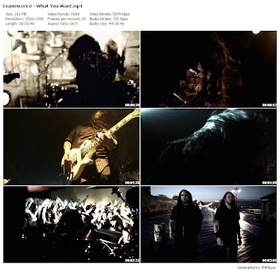 Evanescence What You Want 1080p MediaFire